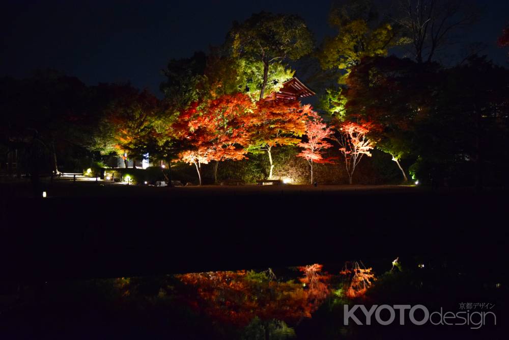 平等院のもみじ