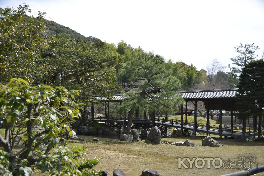 高台寺2