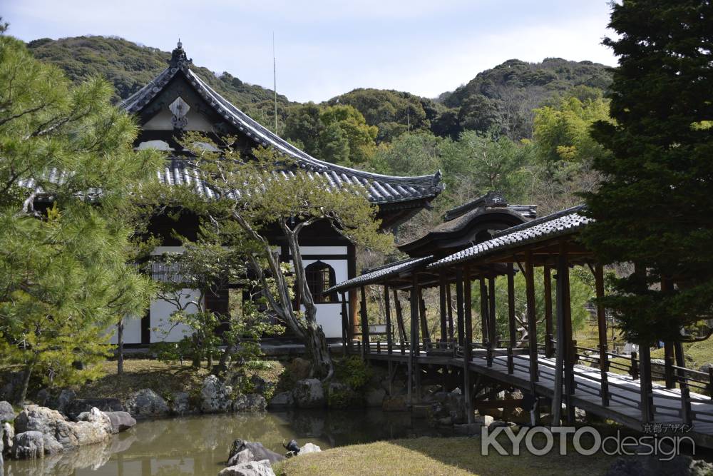 高台寺　橋と池