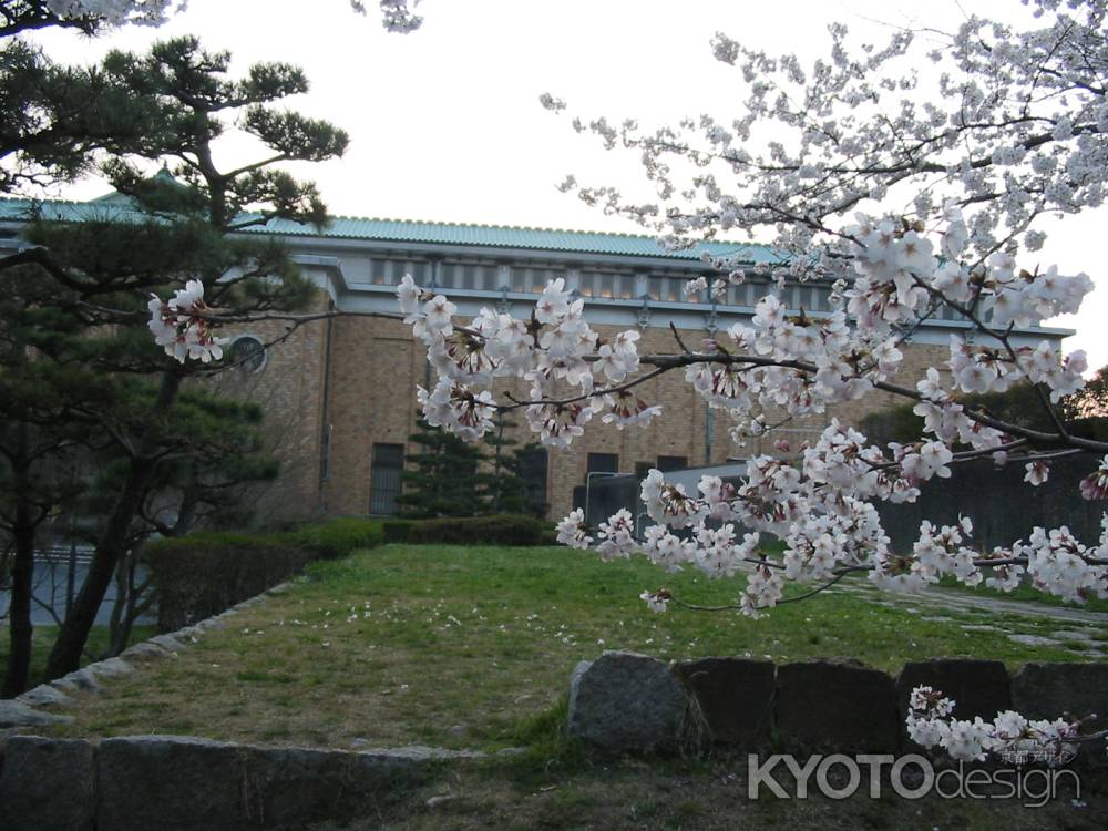 桜と京都市美術館