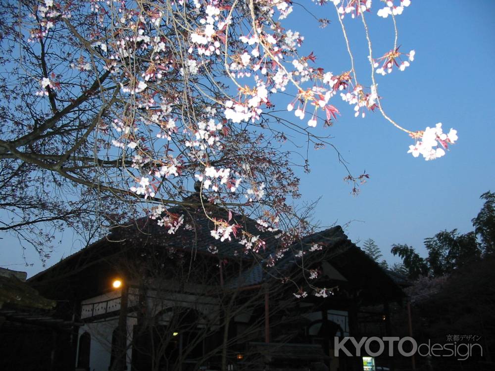 岡崎公園の夕暮れ