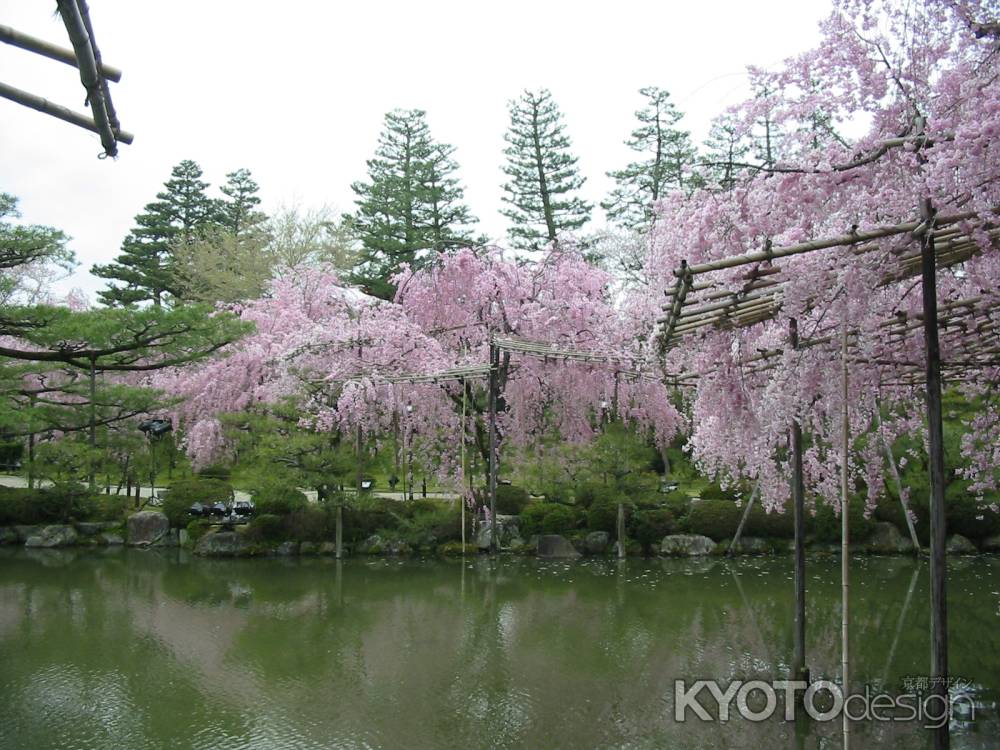 春の平安神宮