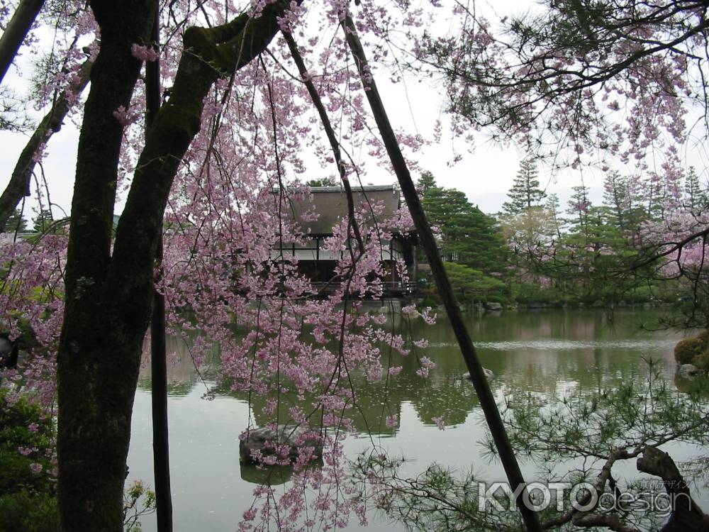 春の平安神宮（東神苑）