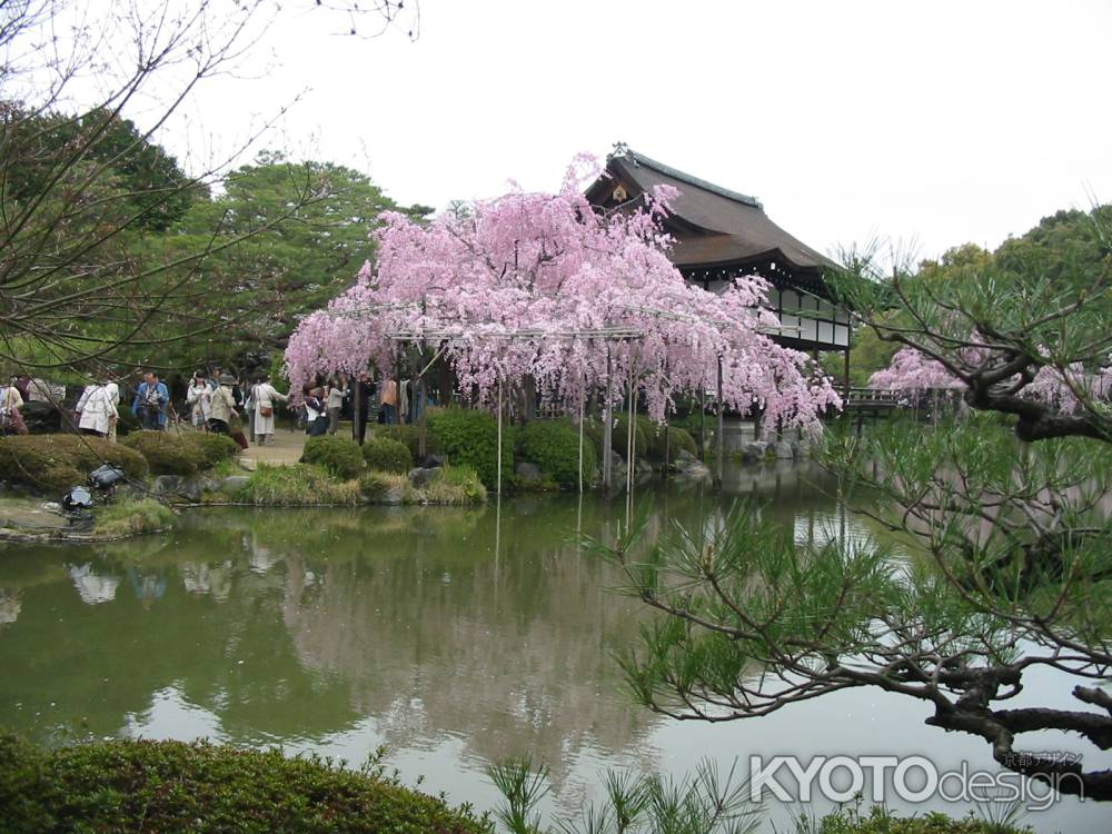 春の平安神宮（尚美館）