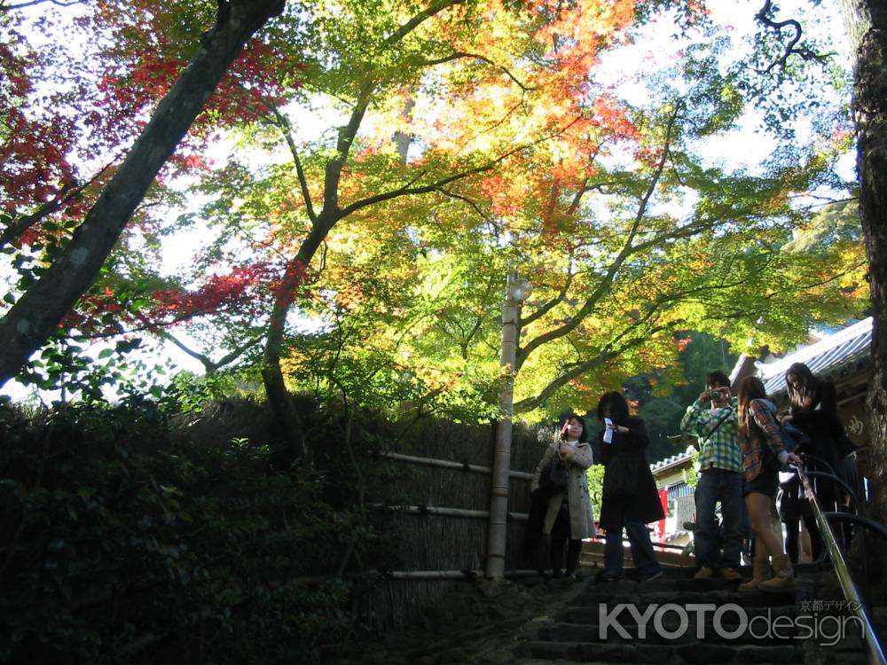 下鴨神社の紅葉