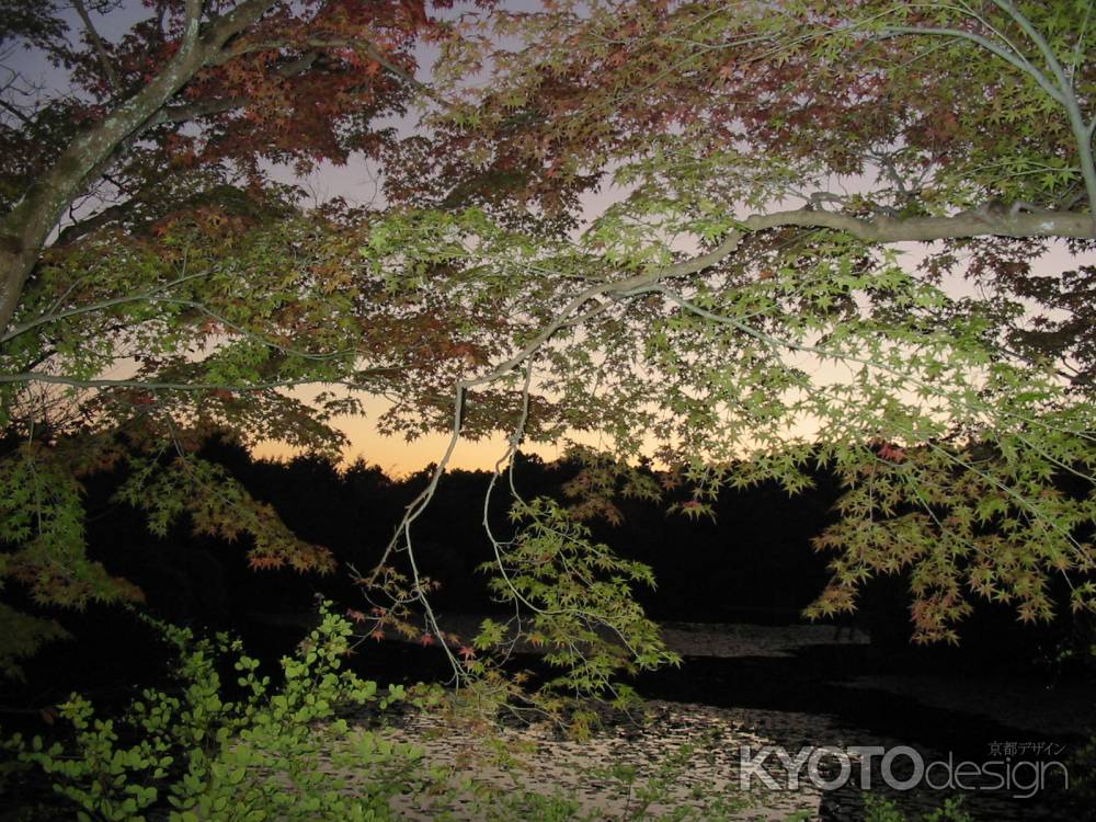 夕暮れの下鴨神社