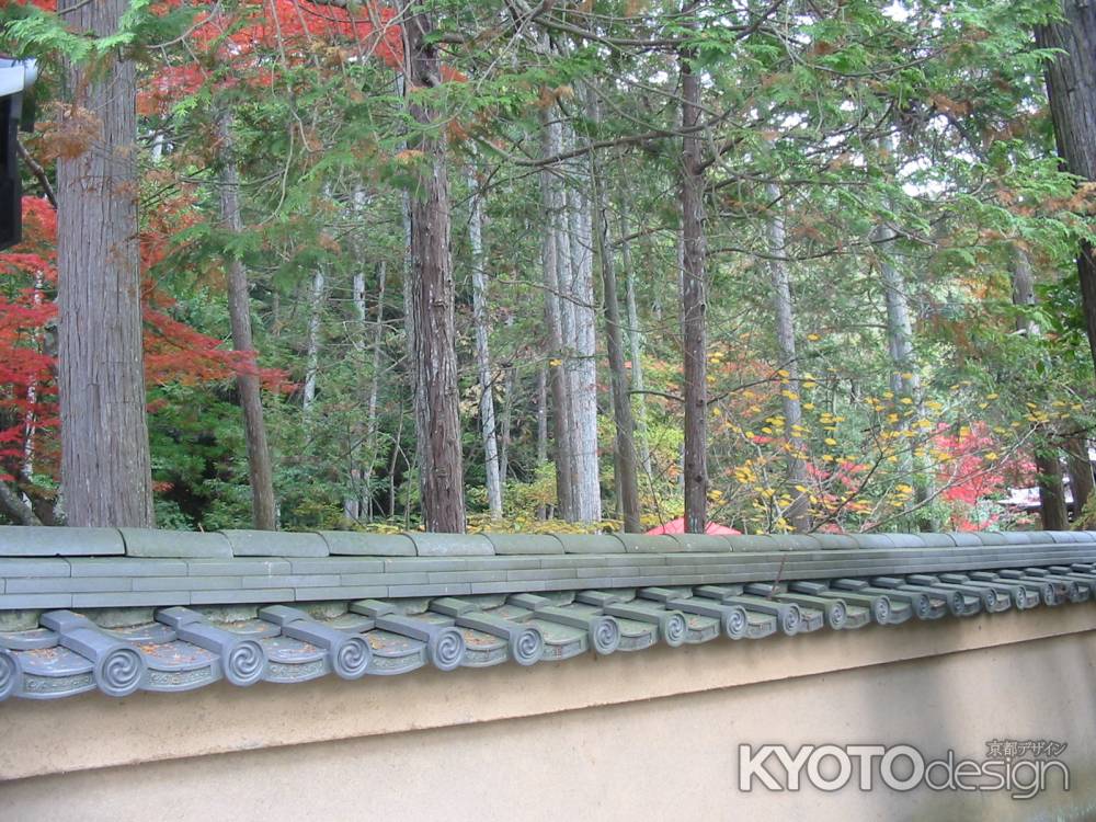 秋の下鴨神社