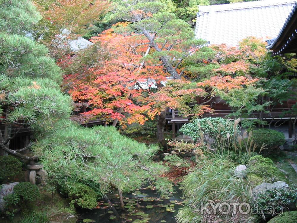 金戒光明寺　庭園