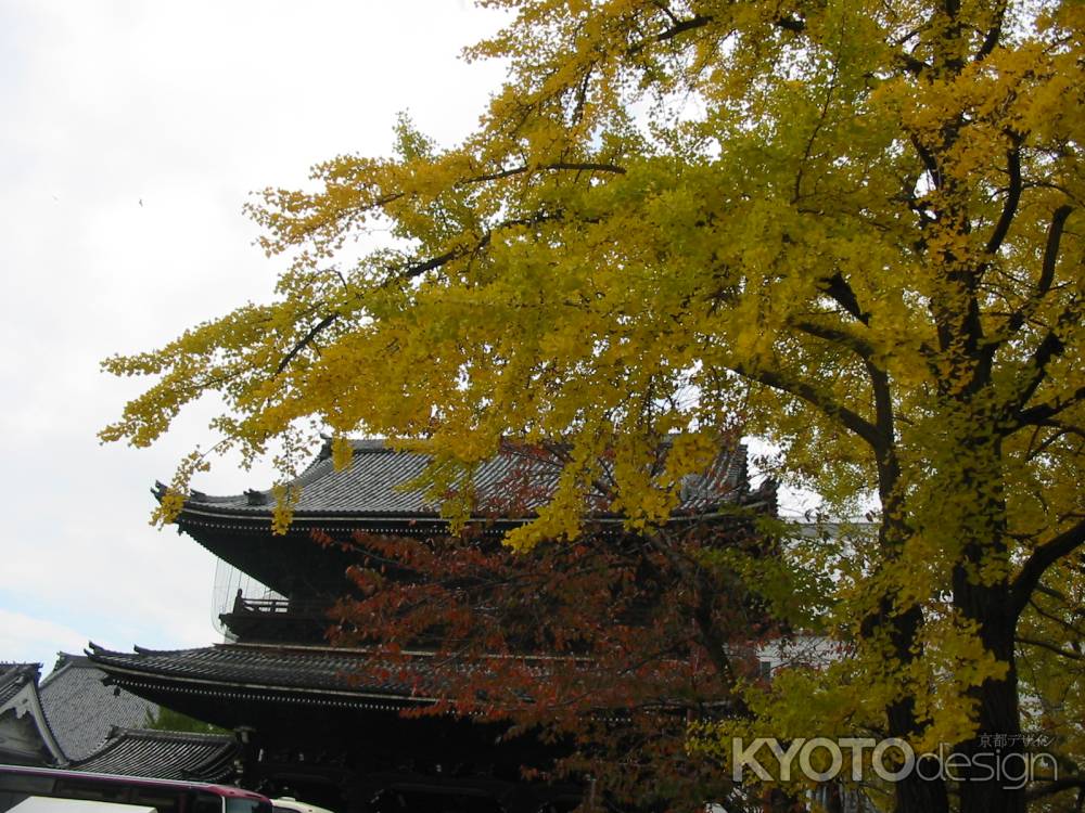 秋の金戒光明寺