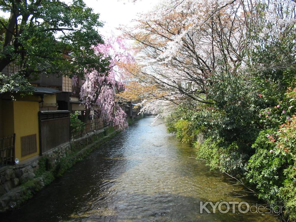 祇園白川