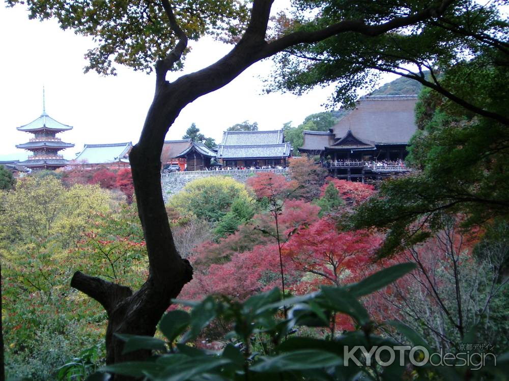 紅葉の清水寺