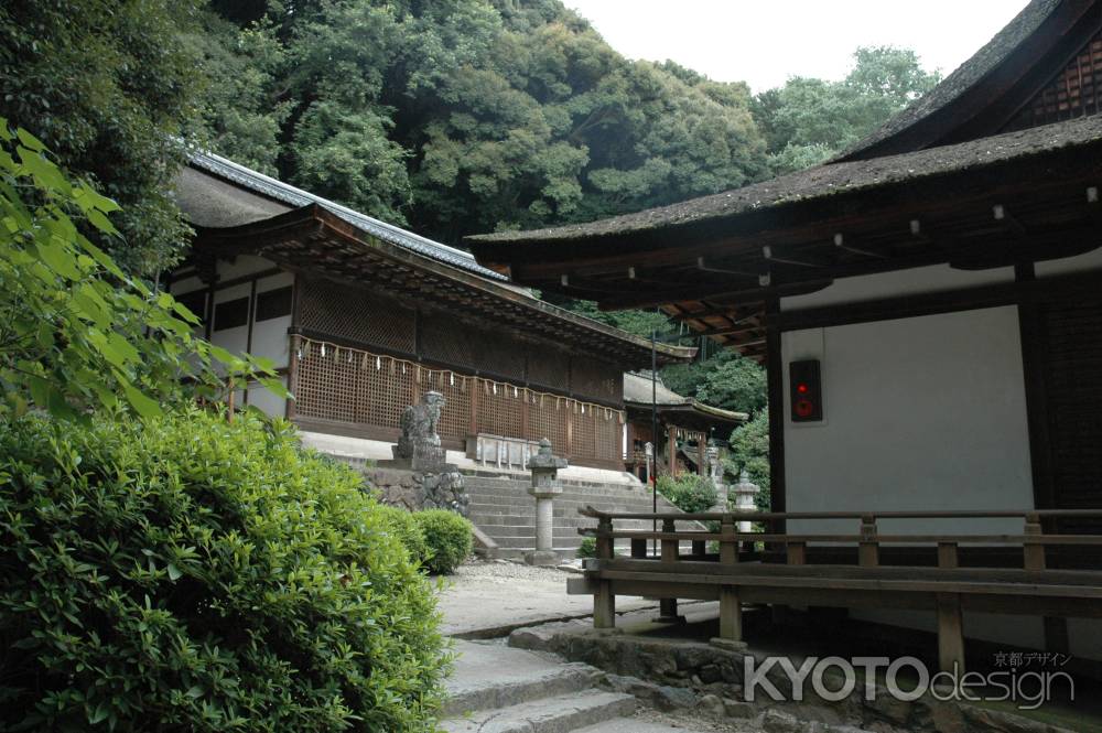 宇治上神社　拝殿と本殿