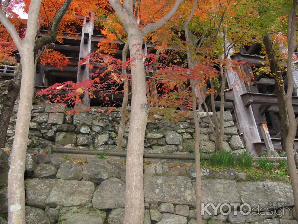 紅葉の清水寺