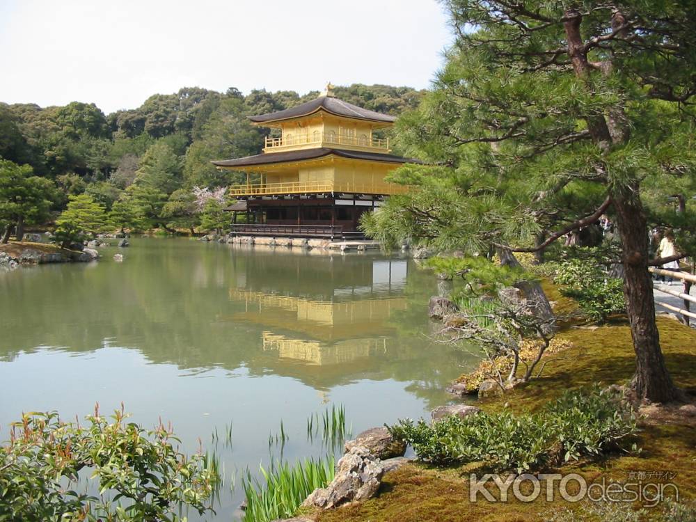 晴れた日の金閣寺