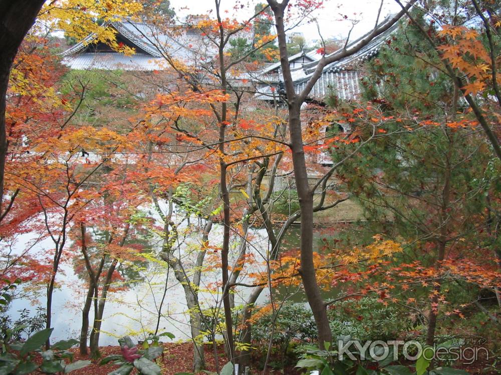 紅葉の高台寺