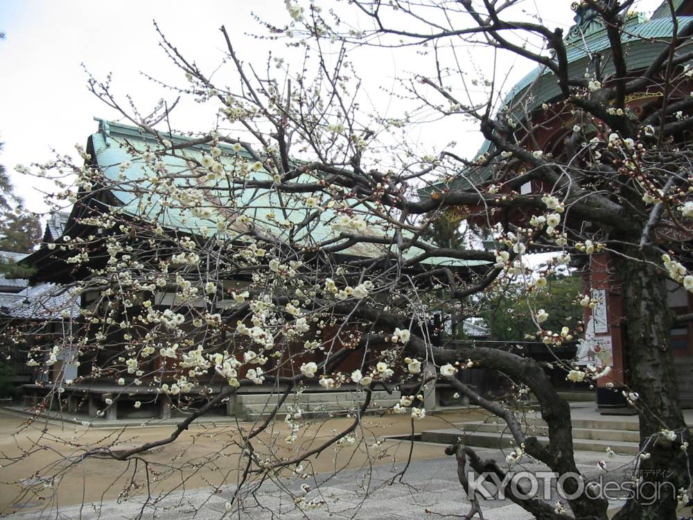 北野天満宮の梅