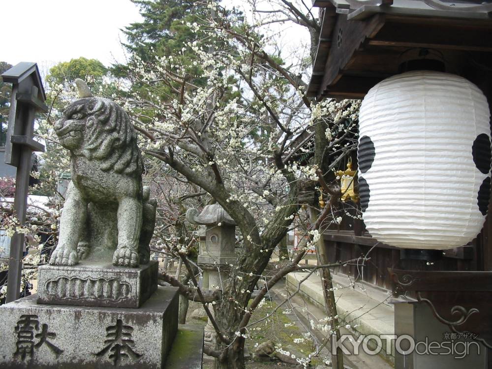 北野天満宮のこま犬と提灯