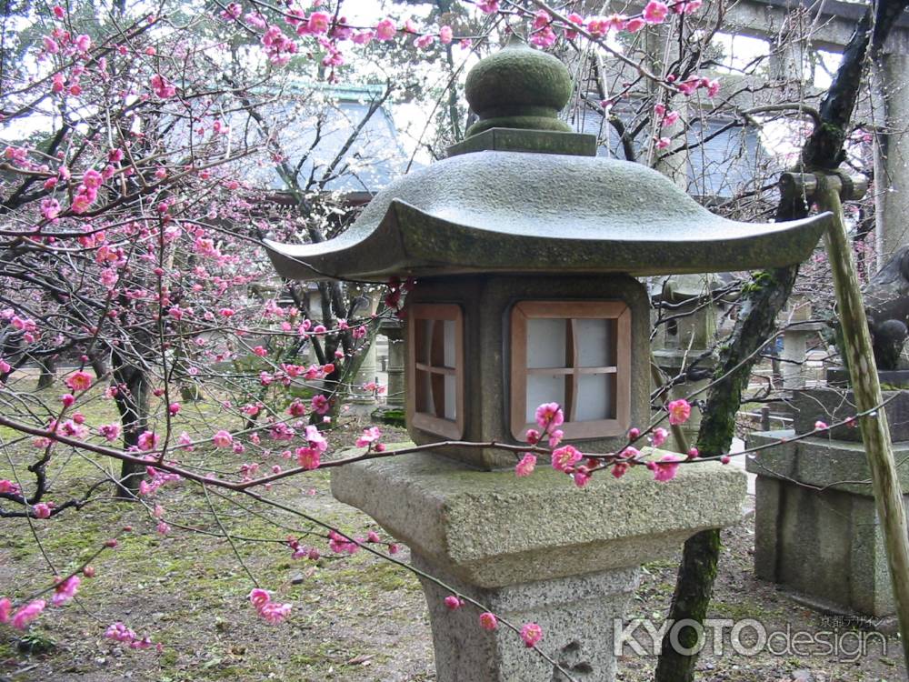 北野天満宮の石灯籠と紅梅