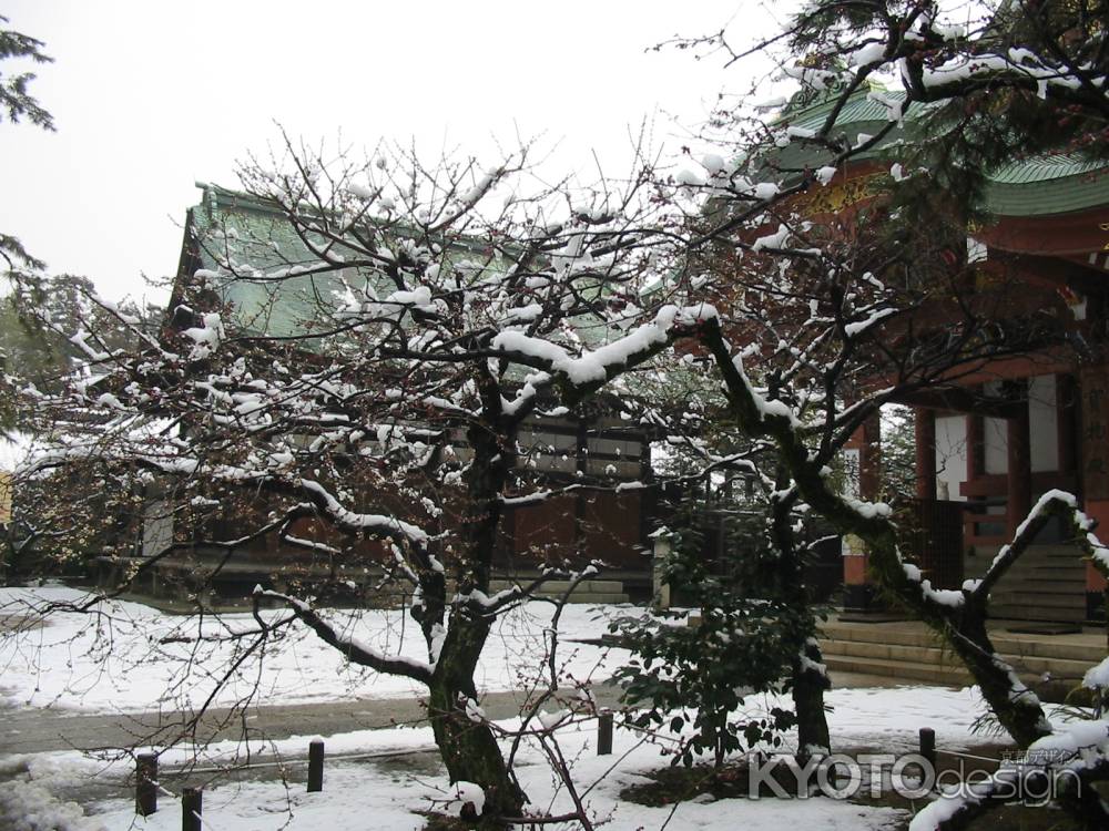 雪の北野天満宮