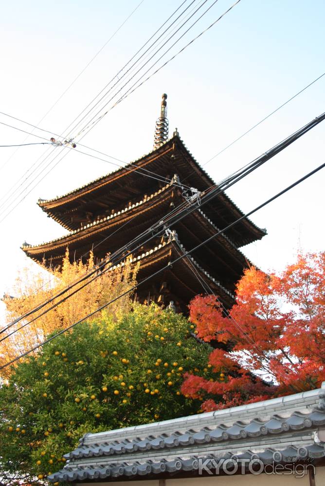 紅葉と八坂の塔