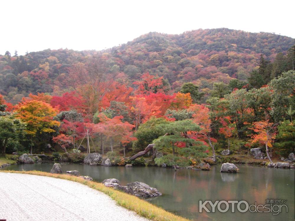 紅葉の嵐山と天龍寺曹源池庭園