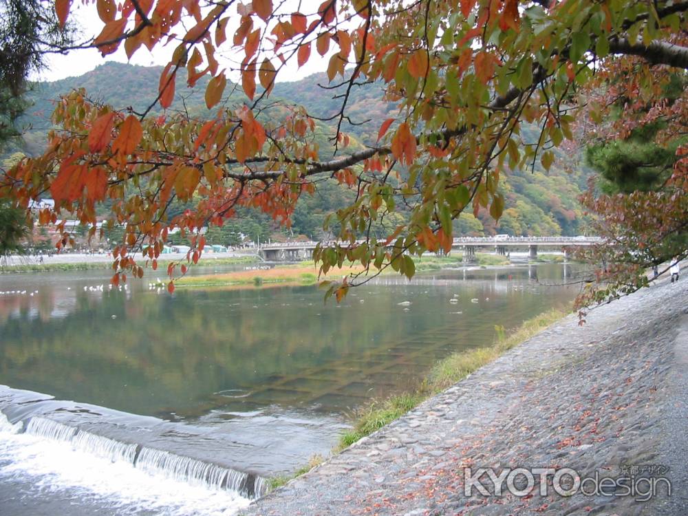 紅葉の嵐山