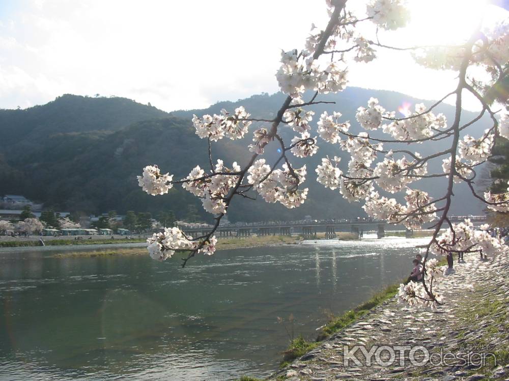 桜と嵐山