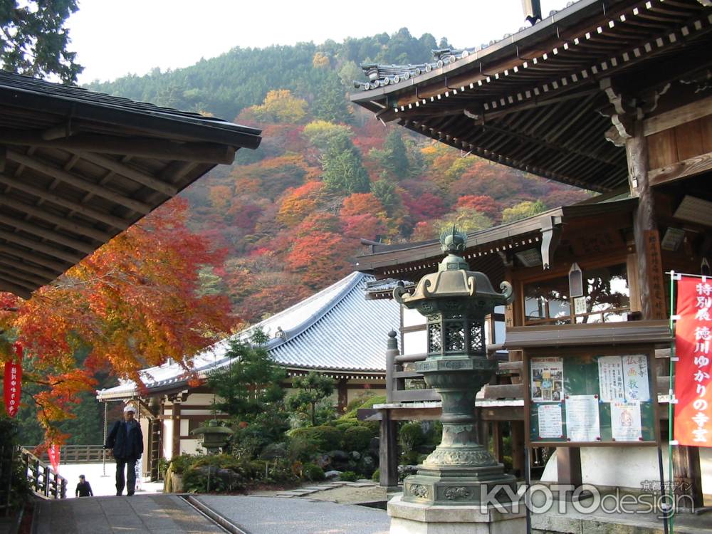 善峯寺山の紅葉