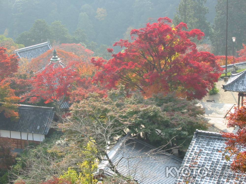 紅葉の善峯寺