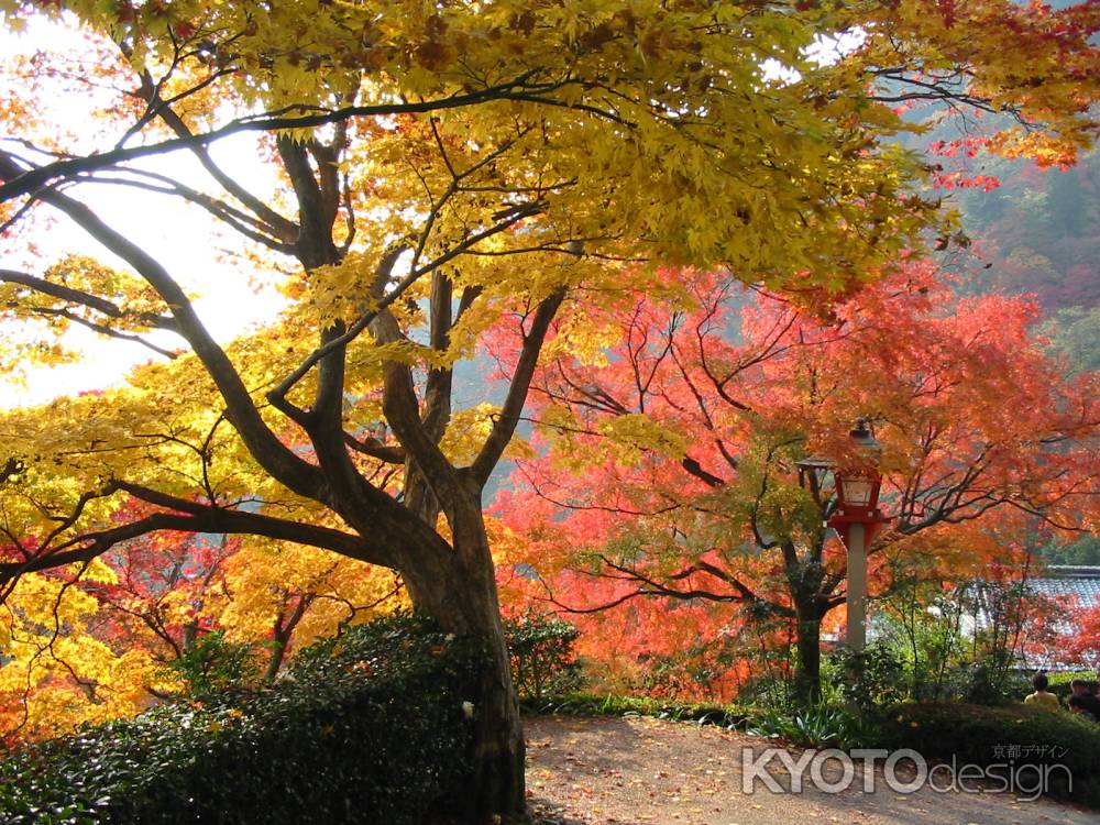 善峯寺の紅葉