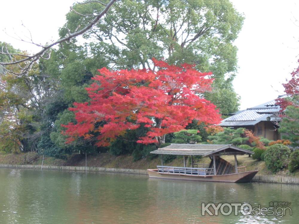 大沢池の紅葉