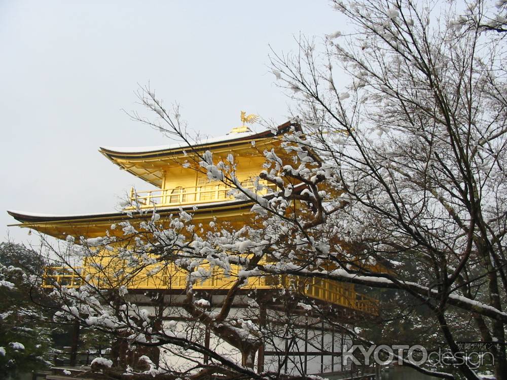 雪の金閣寺