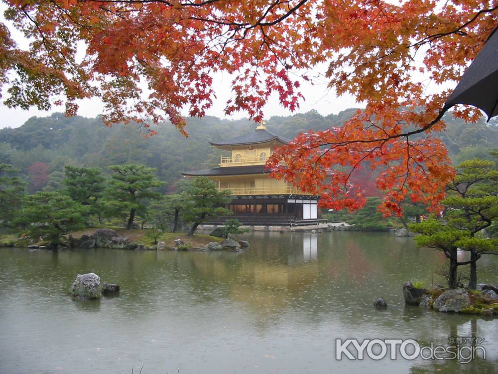 秋雨の金閣寺