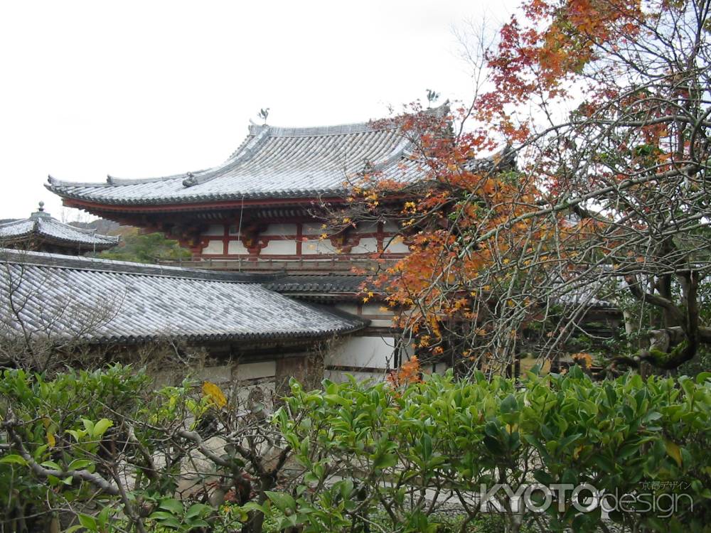 秋の平等院