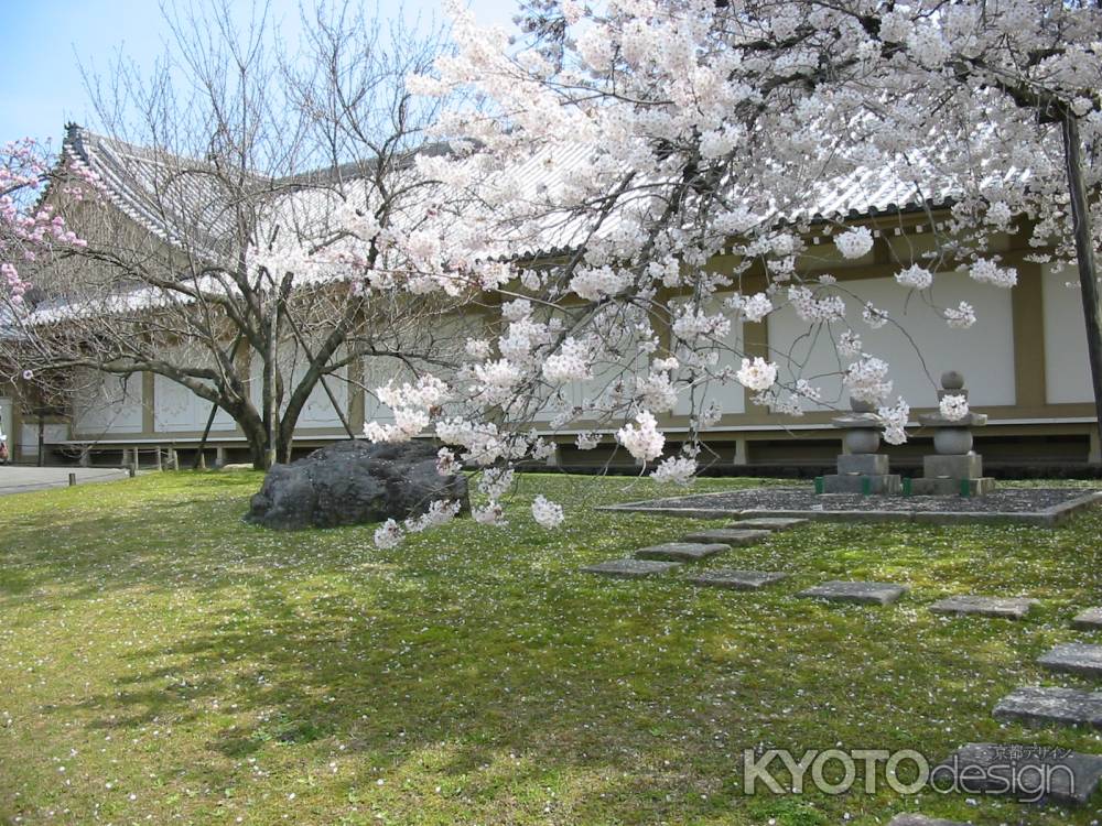 春の醍醐寺