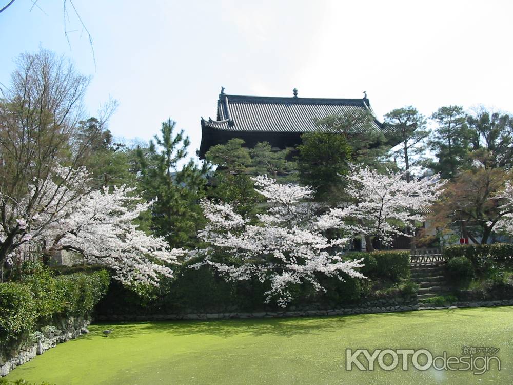 春の萬福寺