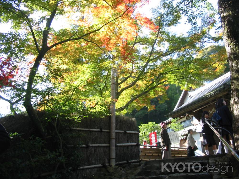 秋の鈴虫寺山門