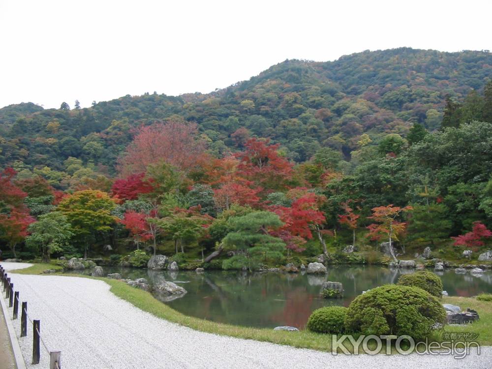 秋の天龍寺曹源池庭園