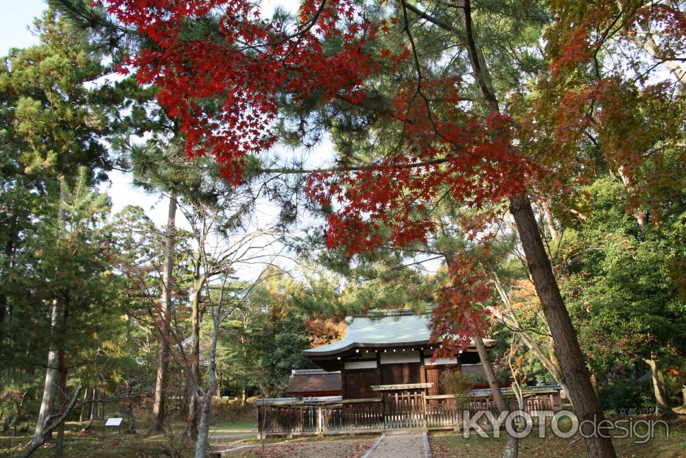 九所明神拝殿と紅葉