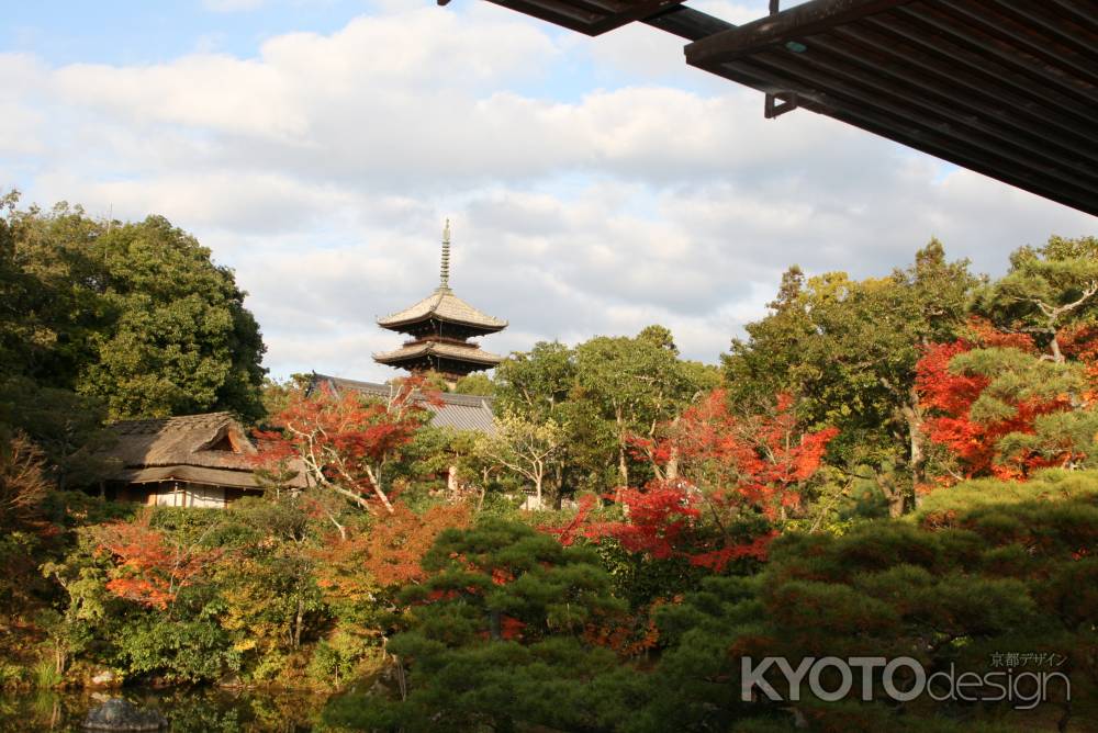 秋の仁和寺の北庭から五重塔