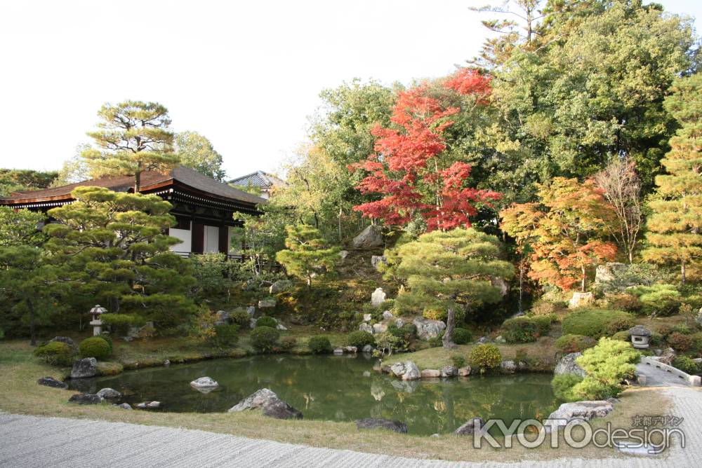 秋の仁和寺の庭園