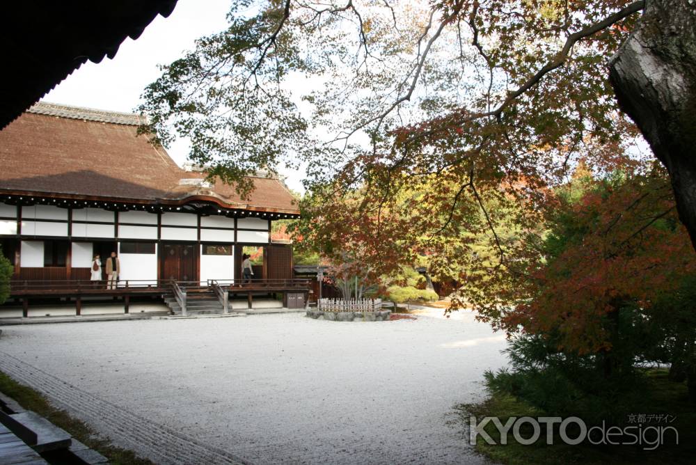 仁和寺御殿の秋の庭