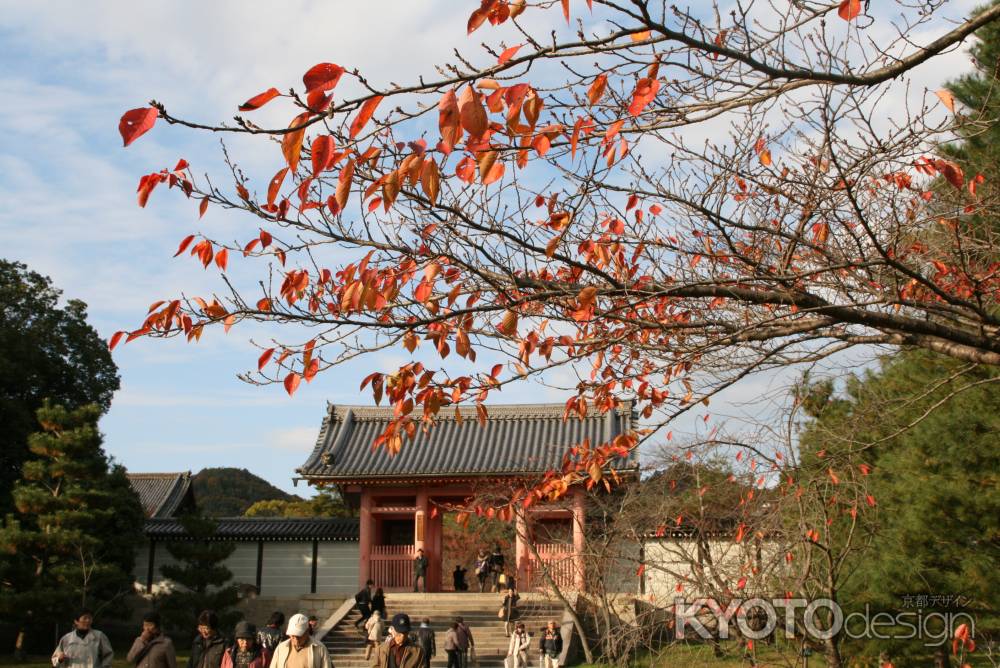 秋の仁和寺中門