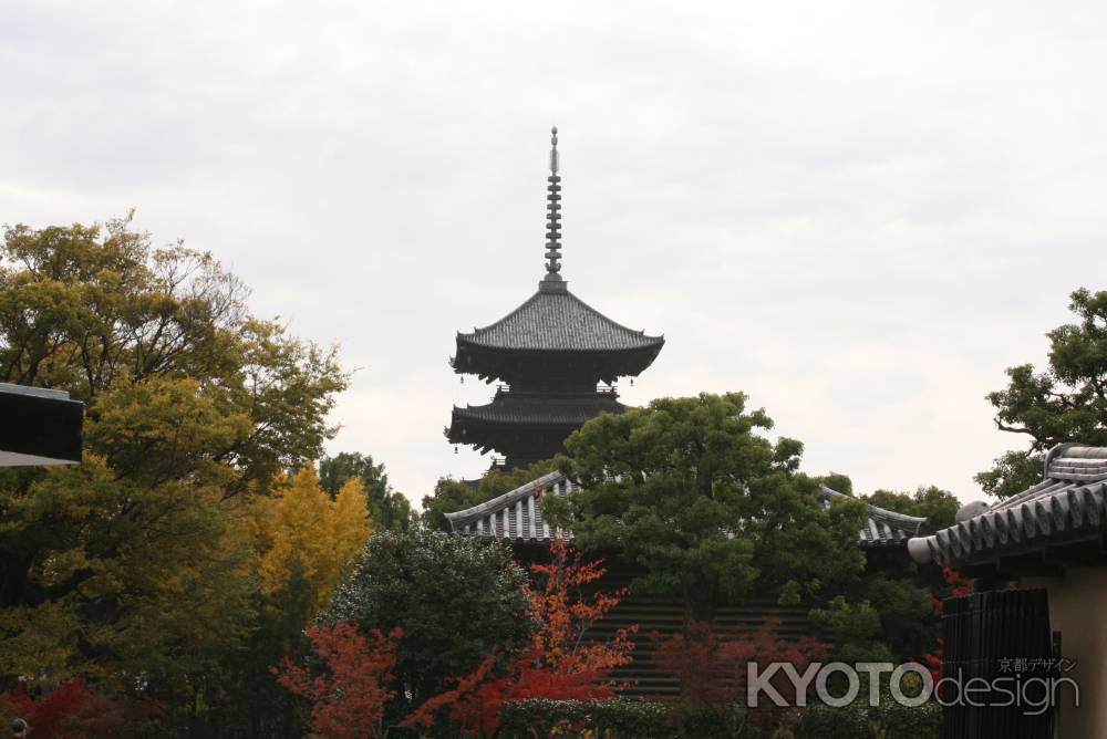 秋の東寺