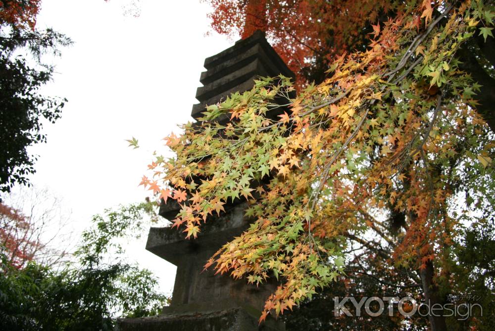 法然院多宝塔と紅葉