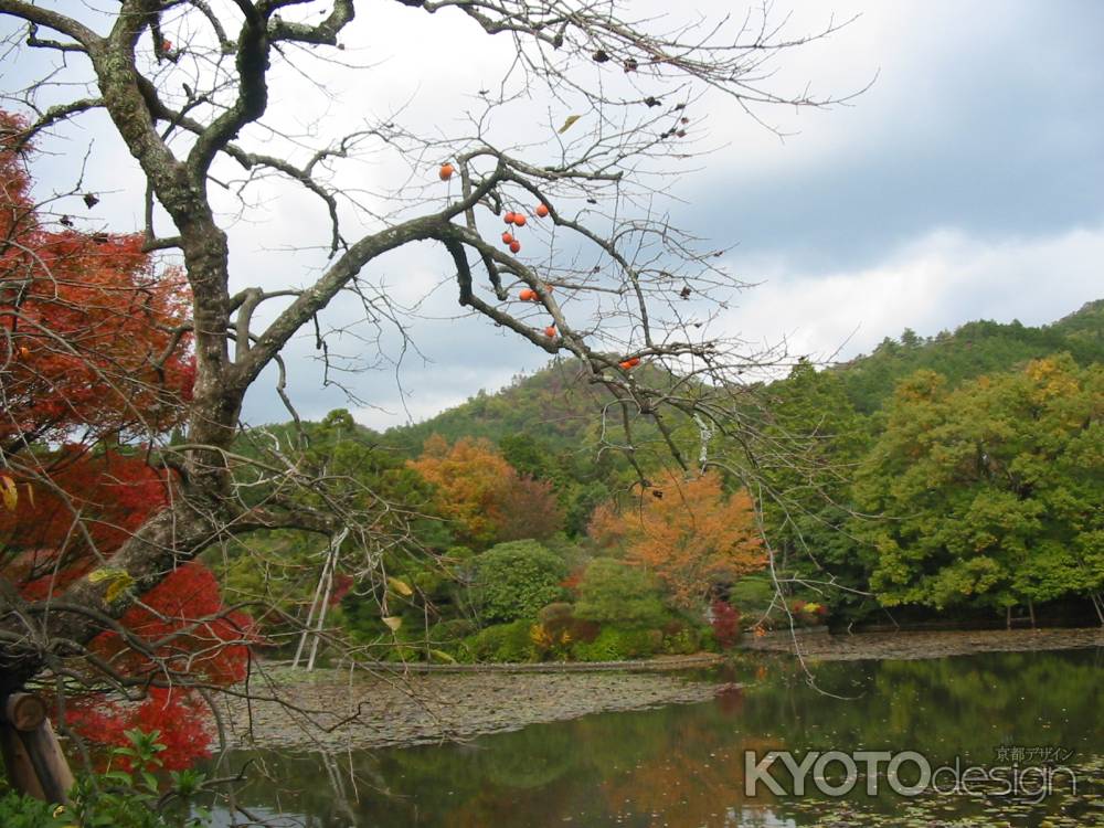 秋の龍安寺鏡容池