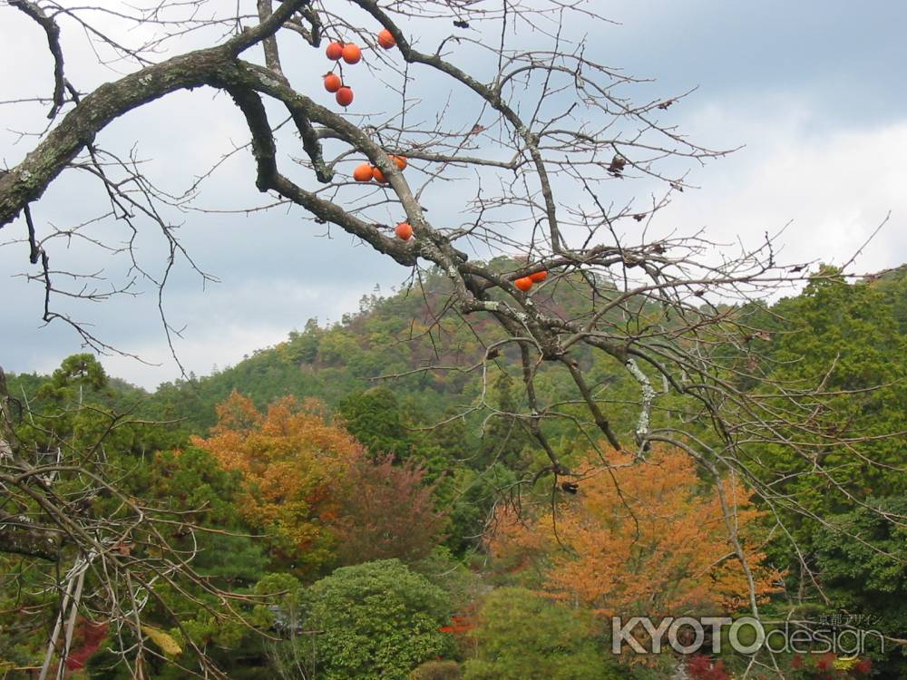 柿と紅葉