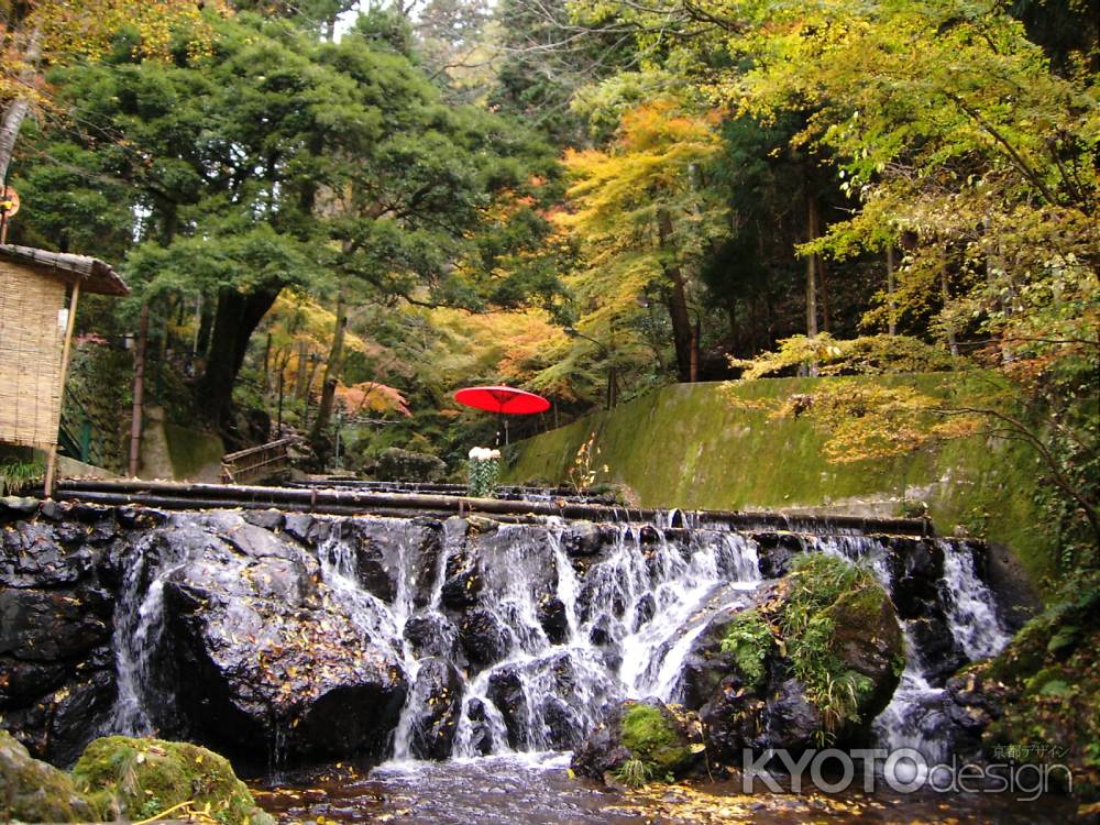 紅葉の貴船川