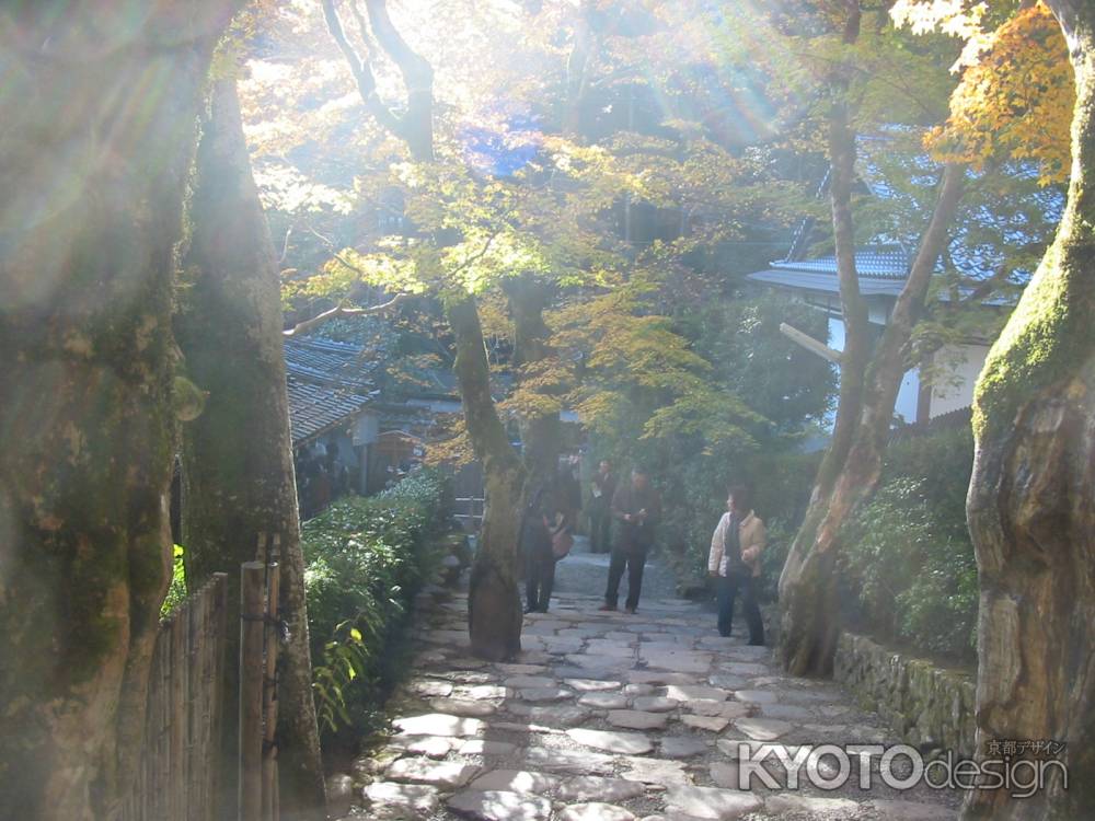 寂光院 秋の木漏れ陽