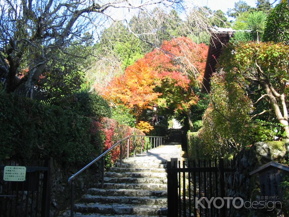 寂光院 紅葉の参道